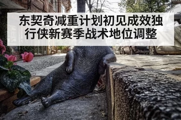 东契奇减重计划初见成效独行侠新赛季战术地位调整