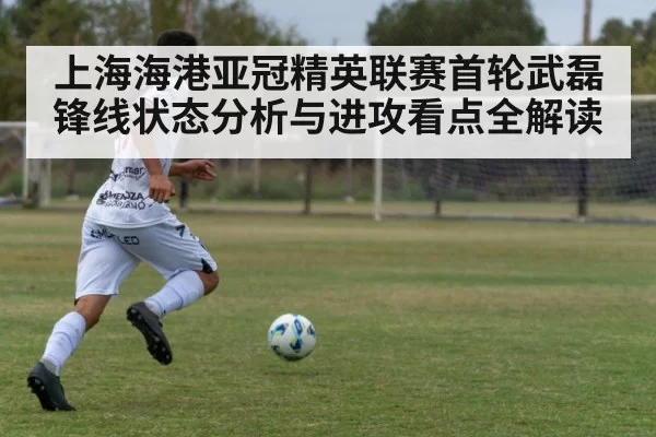 上海海港亚冠精英联赛首轮武磊锋线状态分析与进攻看点全解读